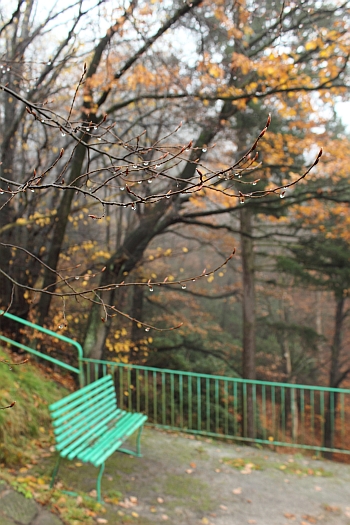 </br><small>Kleine Basteiaussicht in Rathen © Manuela Gabriel</small>